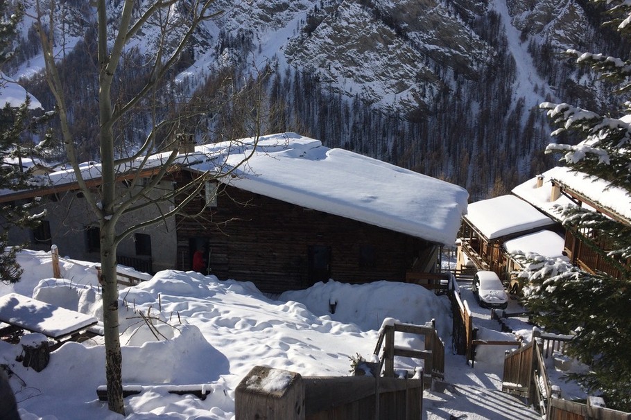 Le jardin sous la neige