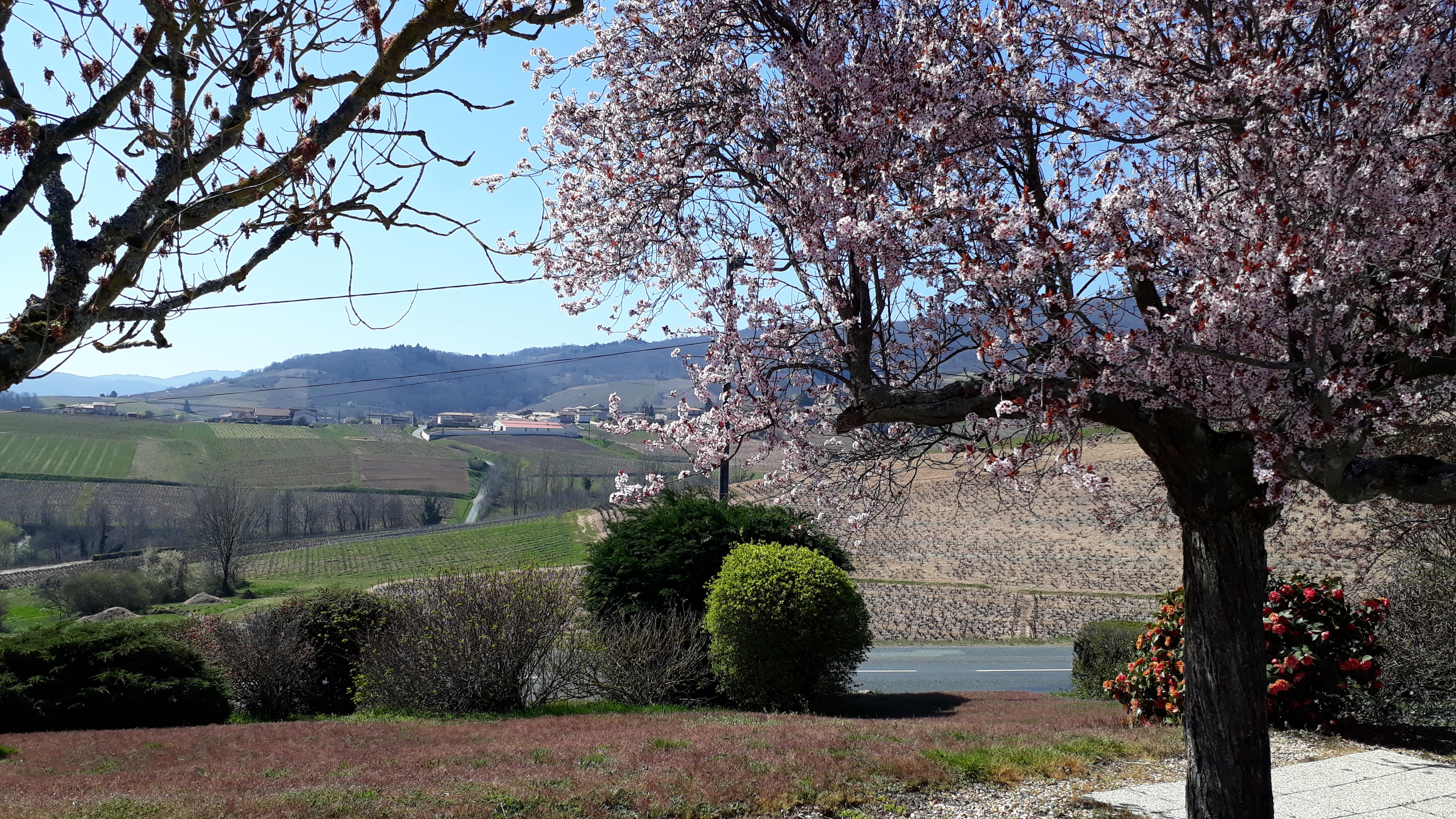 Photo n° 18 of the location