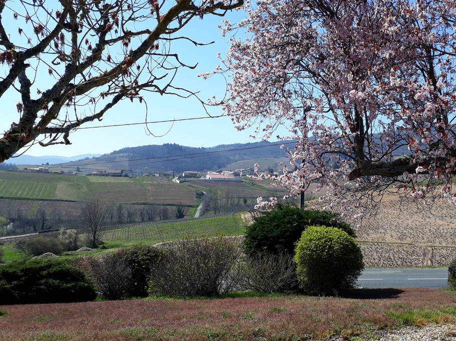 Photo n° 18 of the location