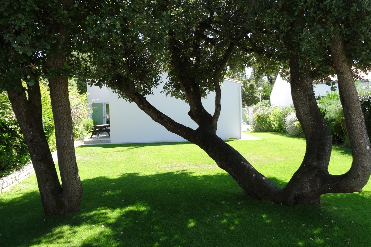 a l'ombre sous les chênes