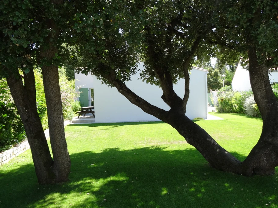 a l'ombre sous les chênes