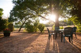 Jardin du gîte