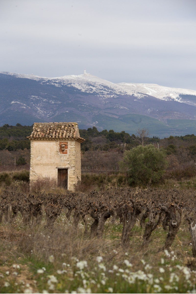 Vue sur le Mont Ventoux en hiver, c'est beau aussi !
©A.Hocquel/VPA
