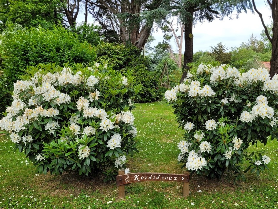 Photo n° 6 of the location