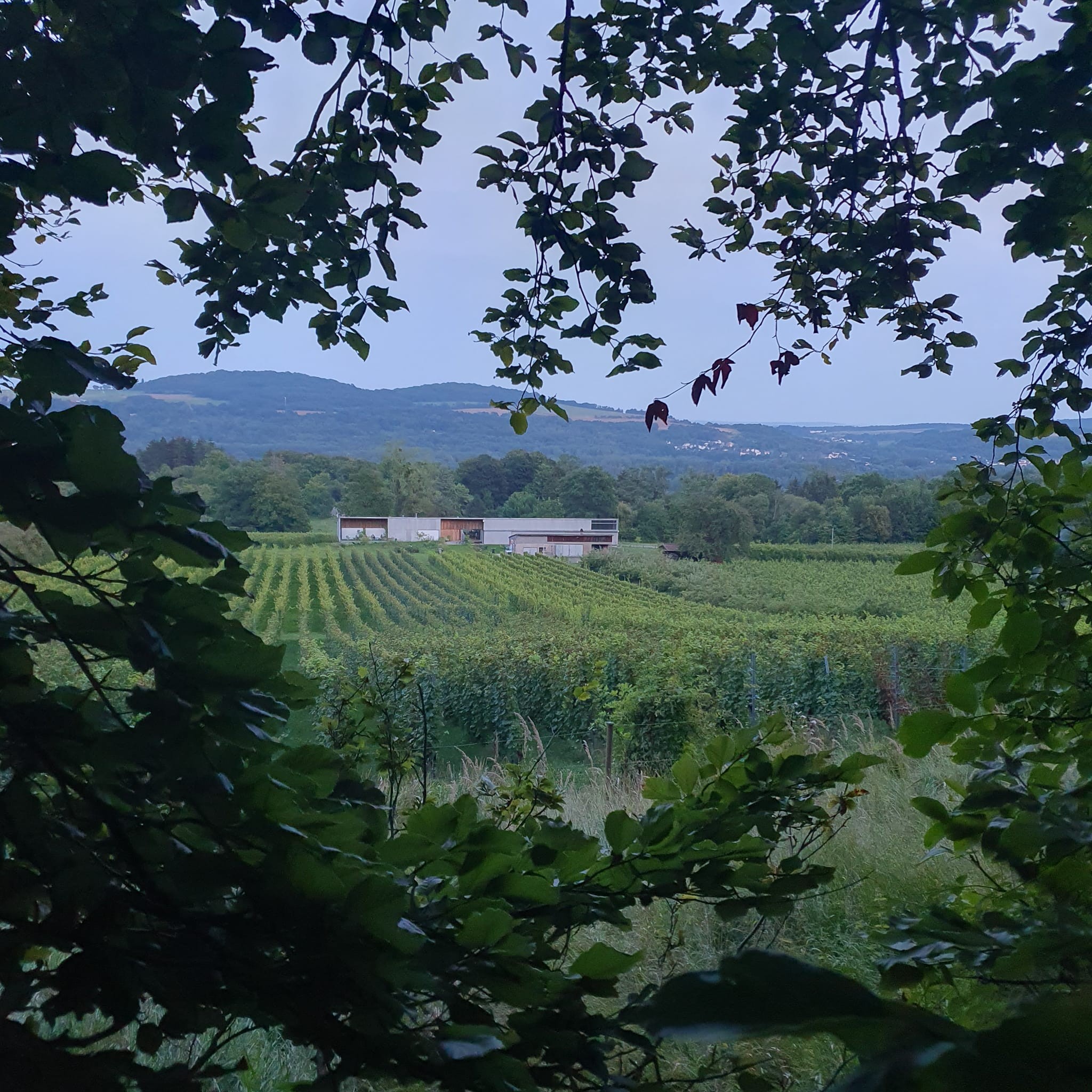 Photo n° 10 de la location