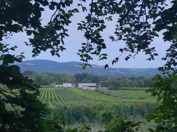 Photo n° 10 of the location