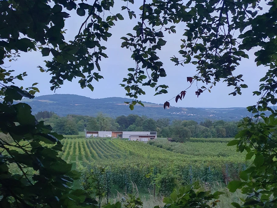 Photo n° 10 of the location