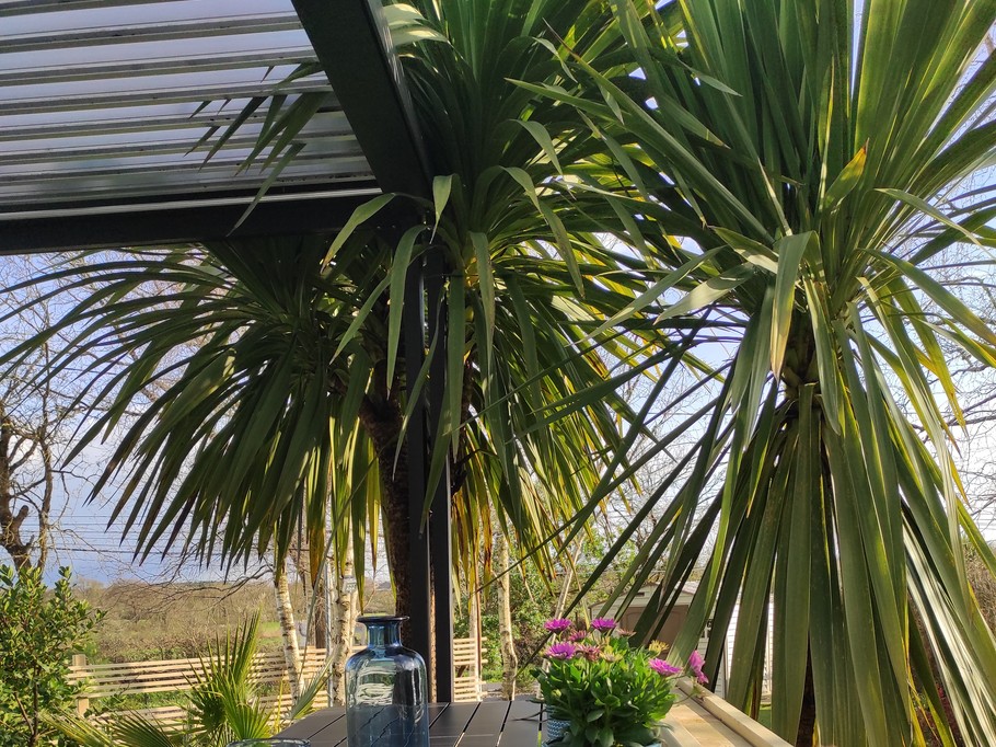 Autre coin repas en terrasse