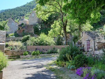 Photo n° 8 de la location