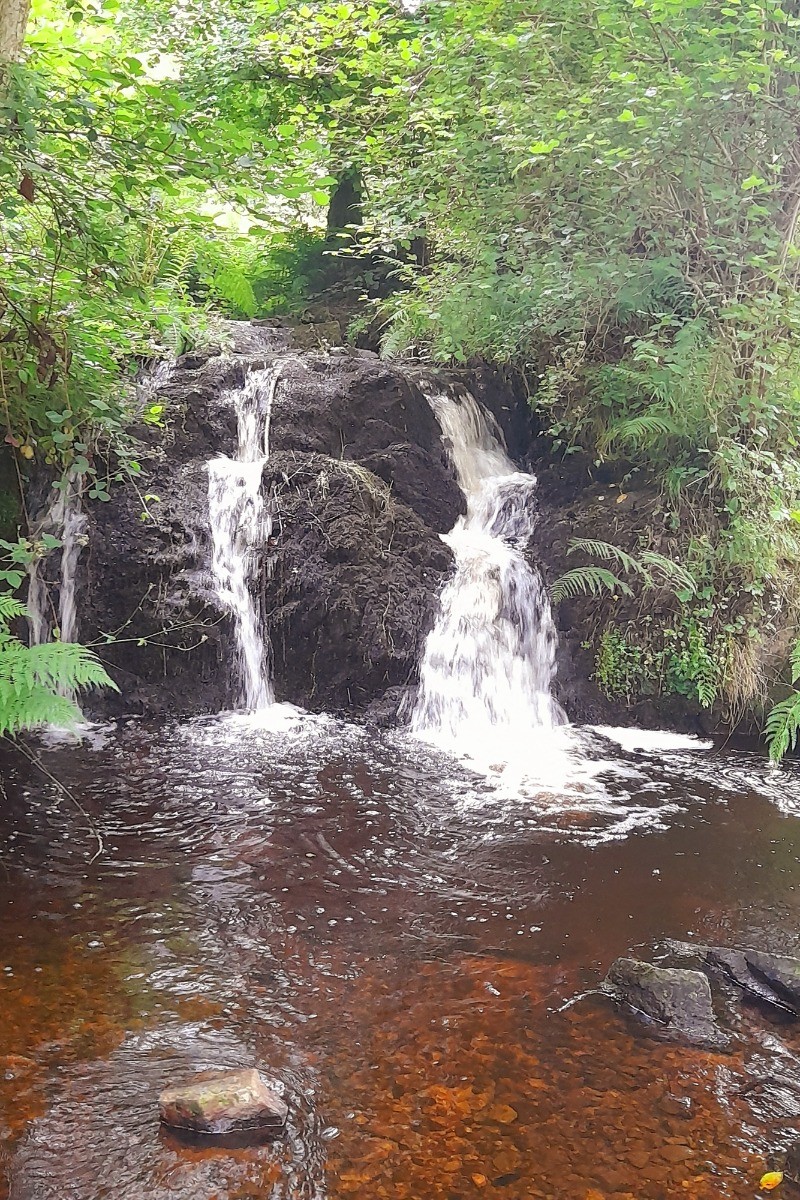 Les sources de L'Yonne