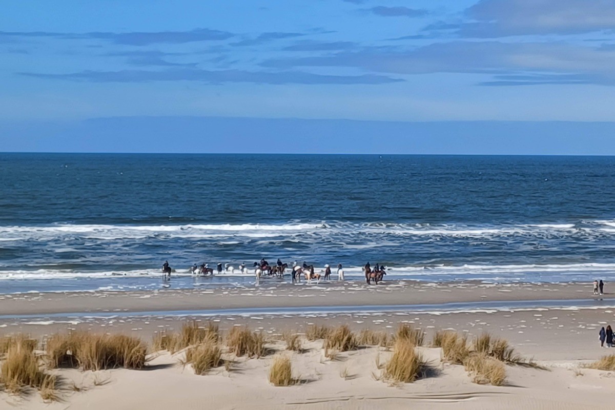 Photo n° 17 of the location