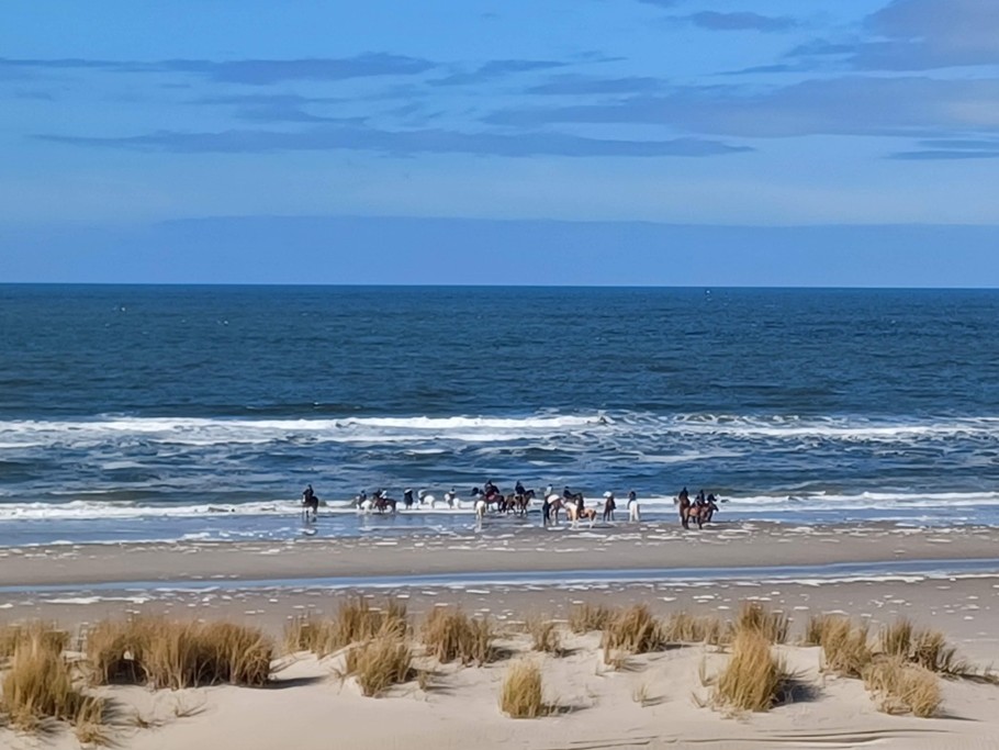 Photo n° 17 of the location