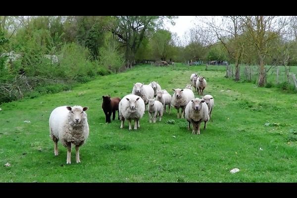 Photo n° 18 de la location