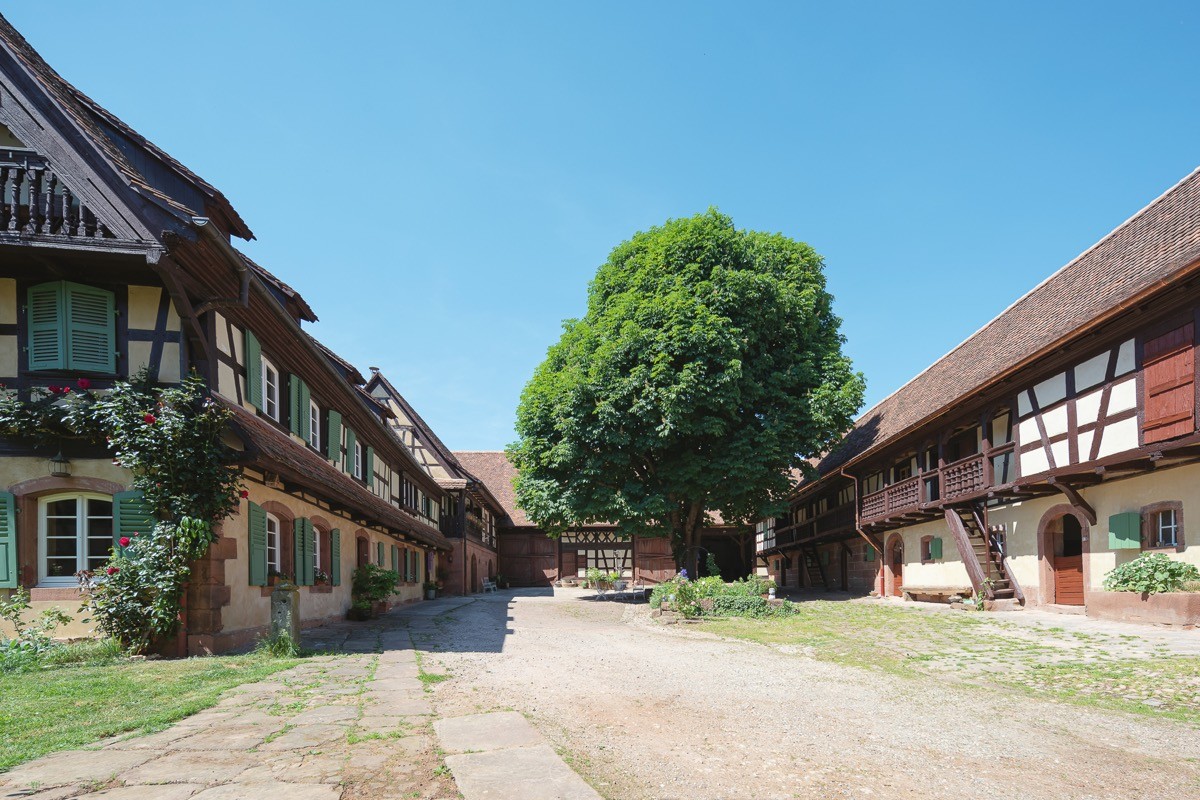 Photo n° 16 de la location
