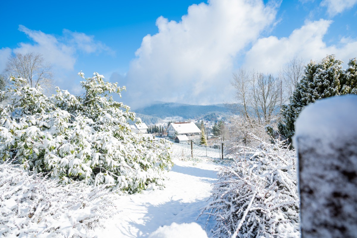 vue depuis le jardin l'hiver - Chalet les Ecureuils