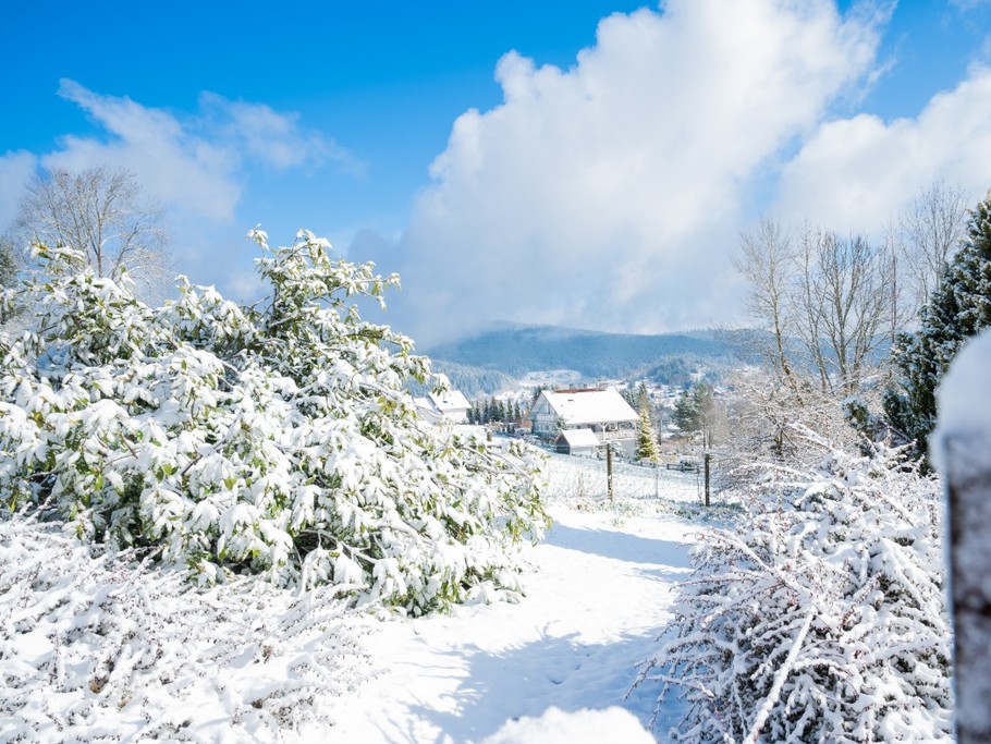 vue depuis le jardin l'hiver - Chalet les Ecureuils
