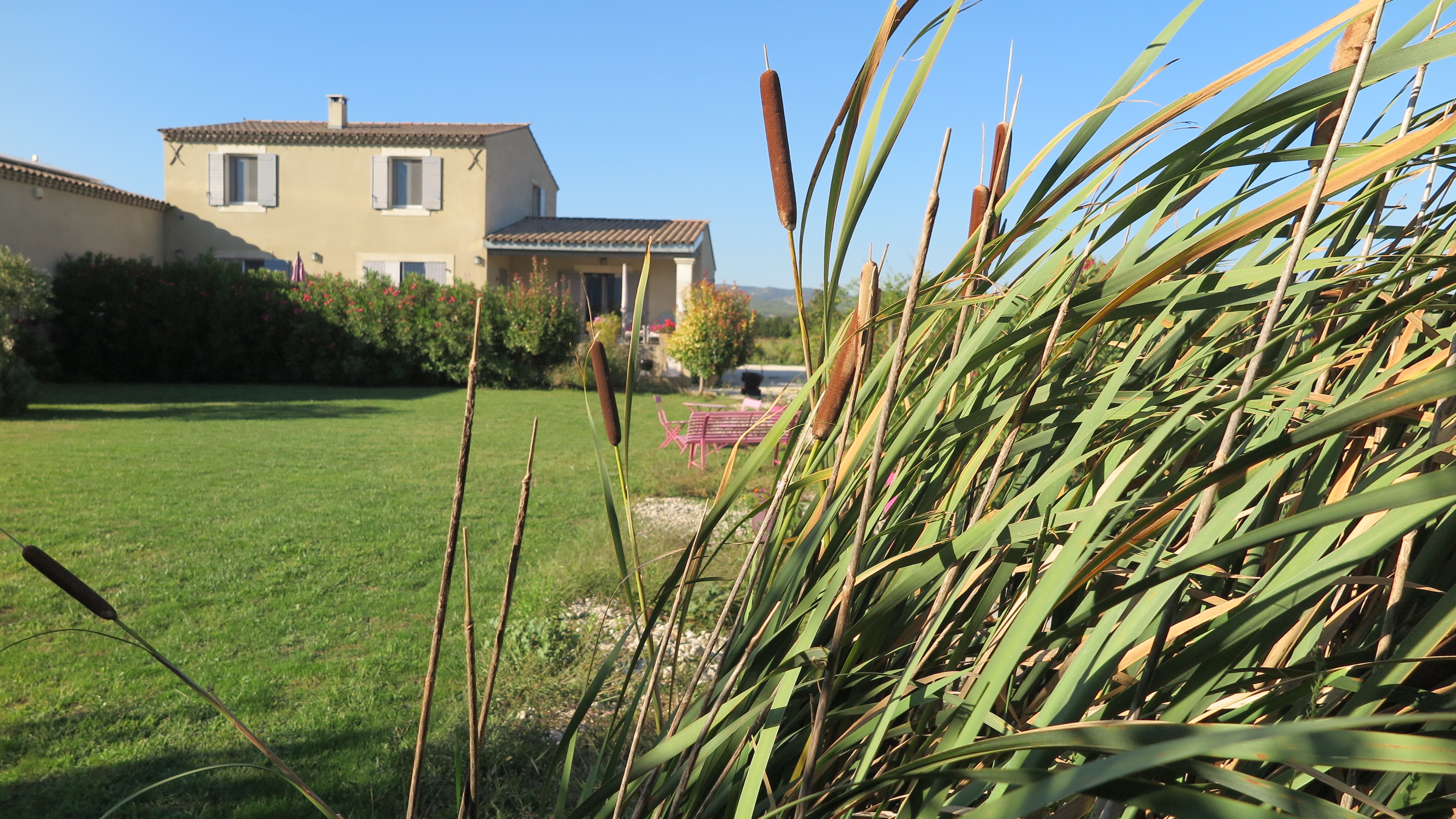 Photo n° 5 de la location