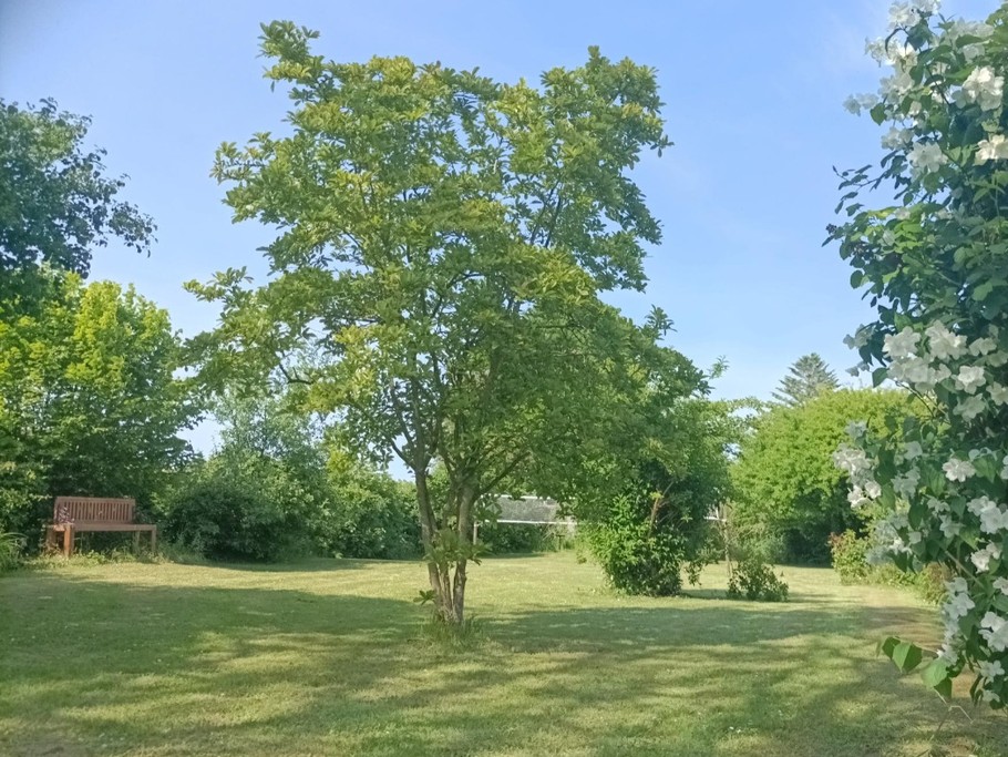 Photo n° 15 de la location