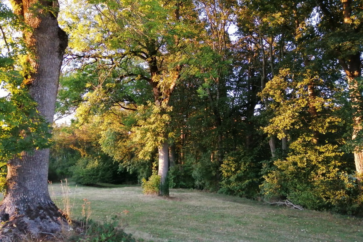 Printemps à Jeangouloux