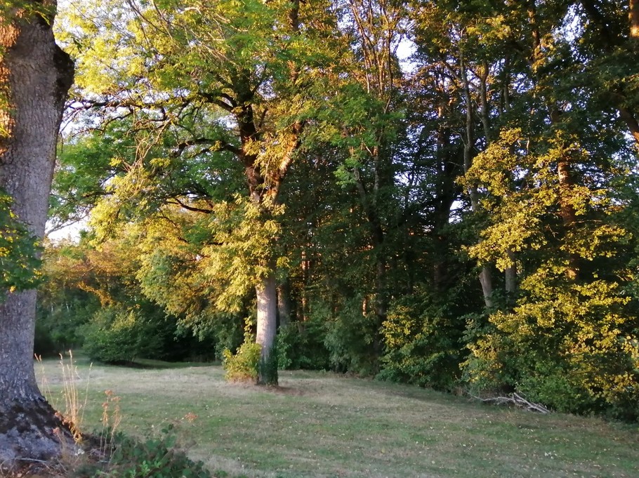 Spring in Jeangouloux