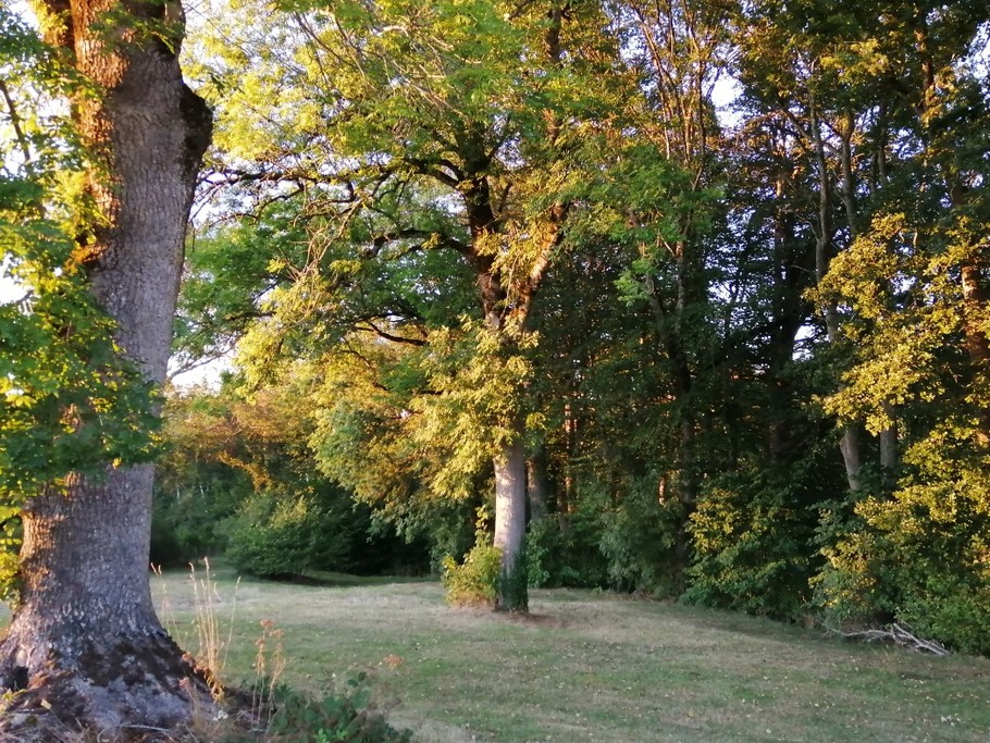 Printemps à Jeangouloux