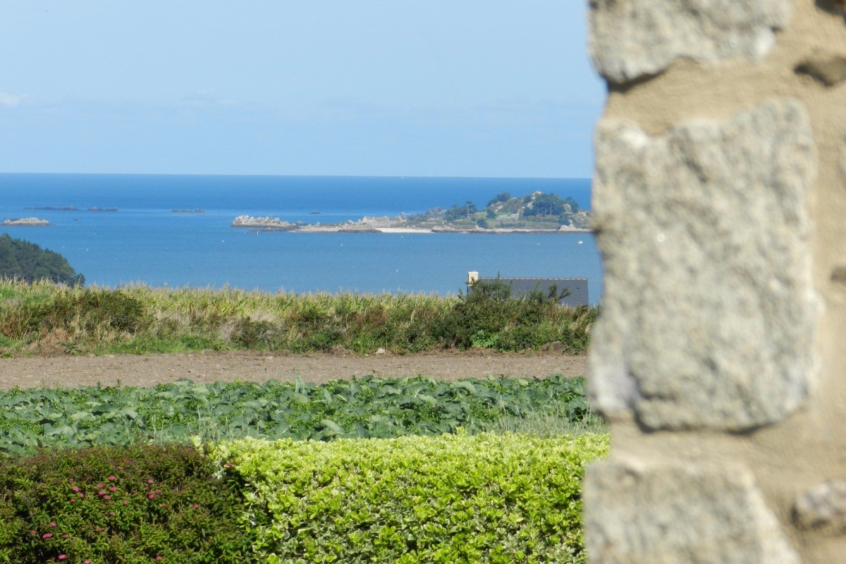 l'île de St Riom