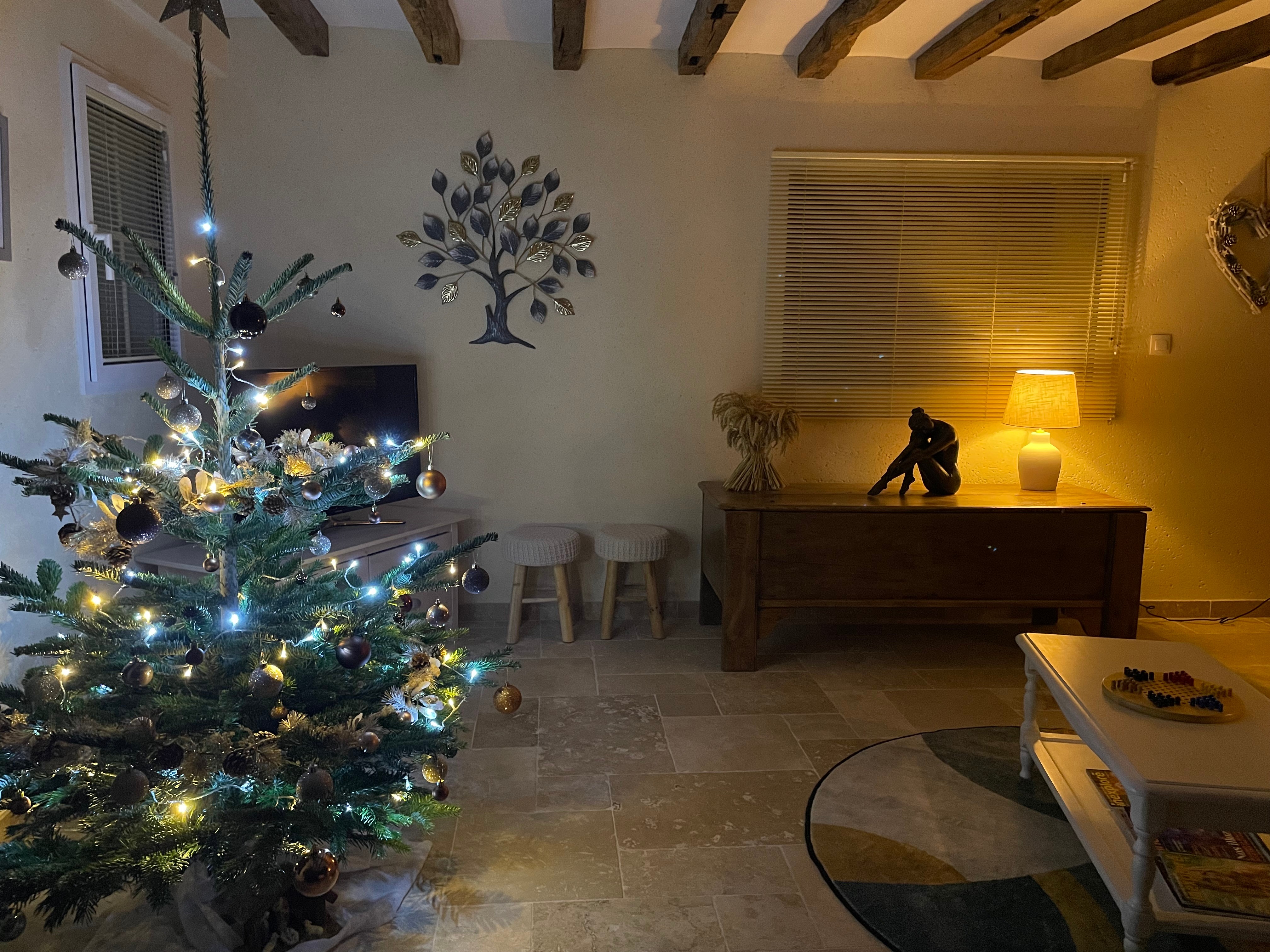 Photo n° 4 de la location