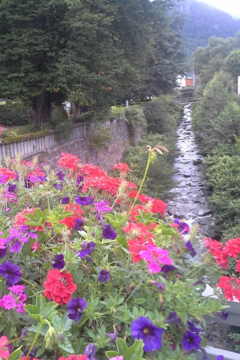 Le Nid douillet - Mont Dore - La Dordogne