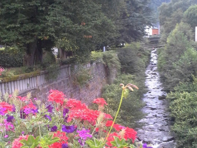 Le Nid douillet - Mont Dore - La Dordogne