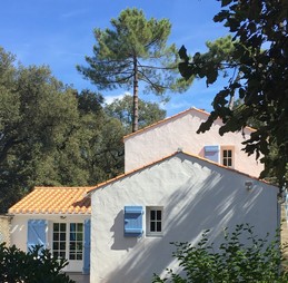 côté terrasse et pièce de vie