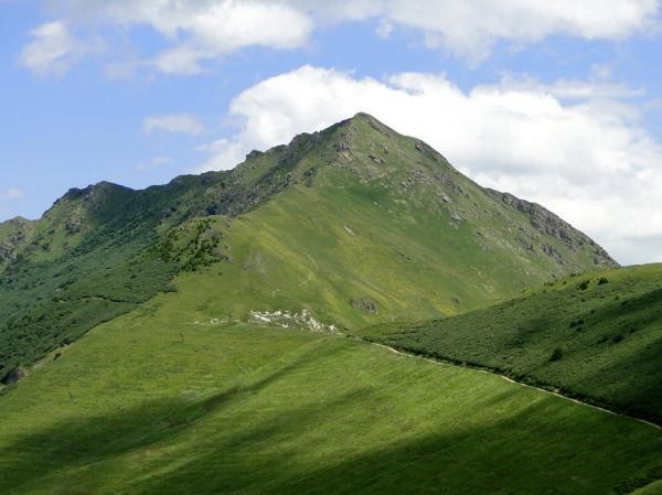crève tête été