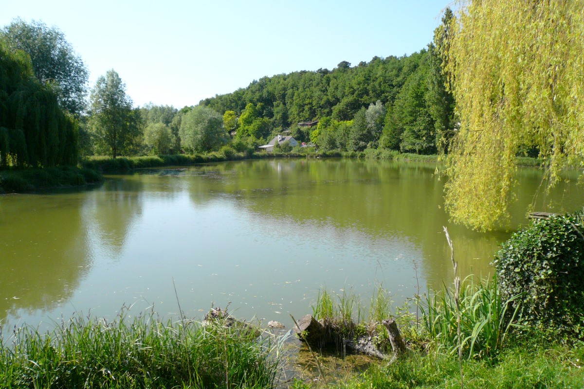 Vue de l'étang
