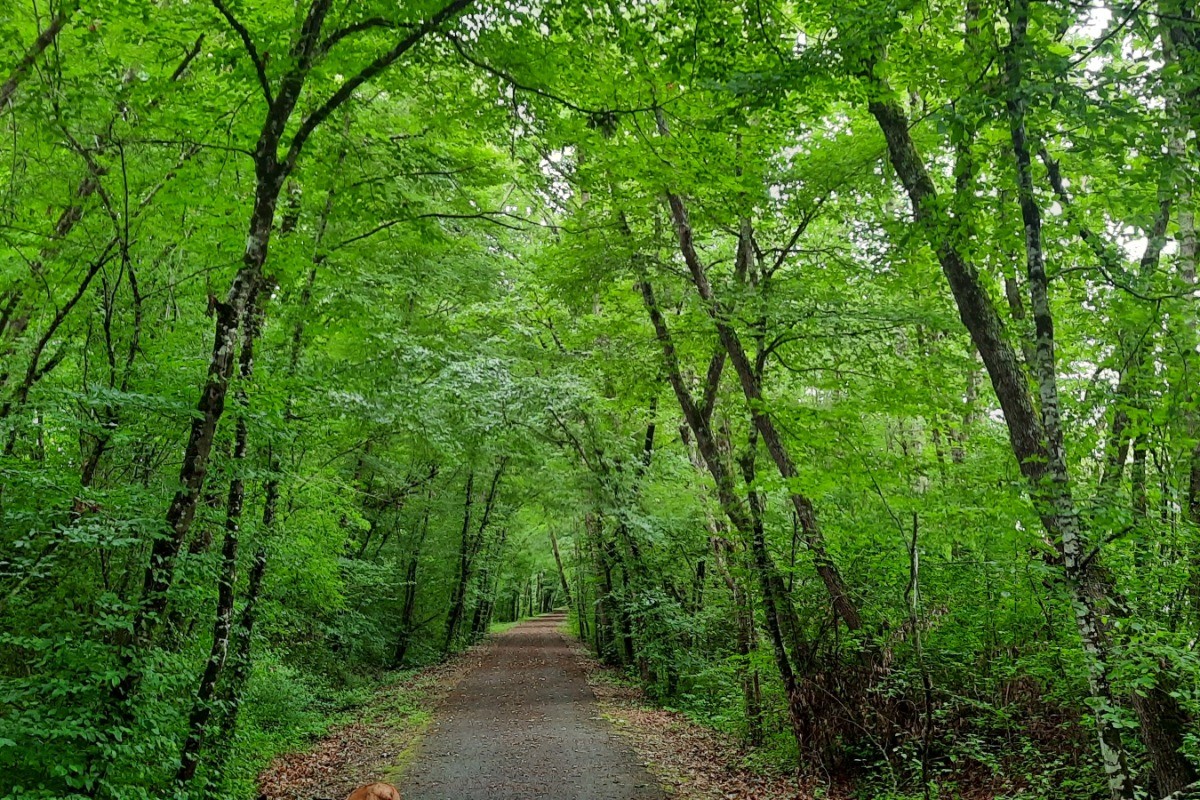 la voie verte, à pieds, à vélo, à cheval