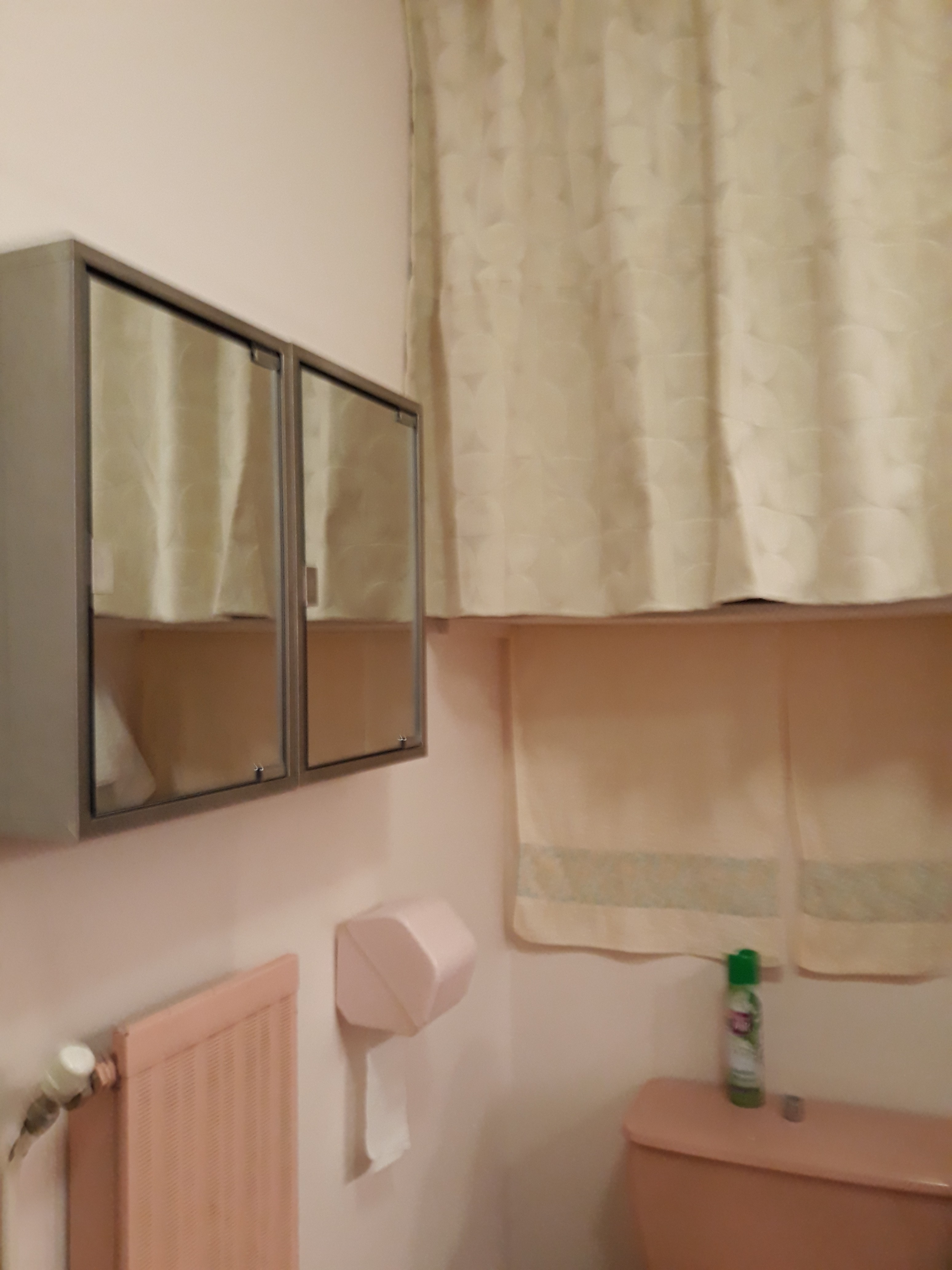 la salle de bain
