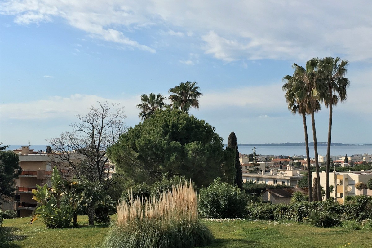 Vue verdure et mer