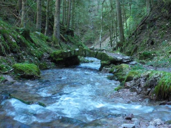 Access path to the Saut de la Bourrique waterfall 20 min - Chalet Cosy Finlandais Joyce - Gérardmer