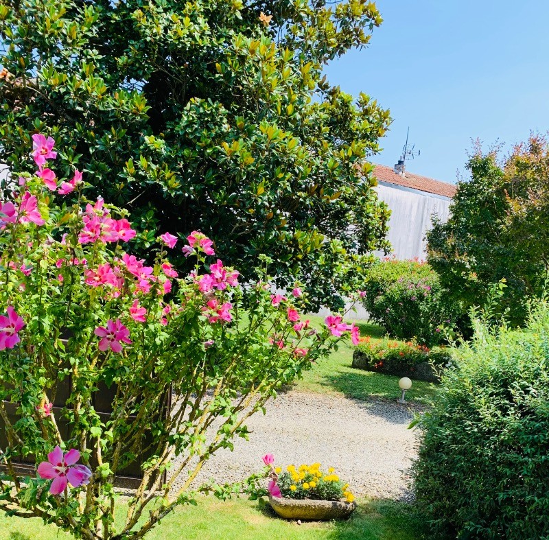 Photo n° 9 of the location