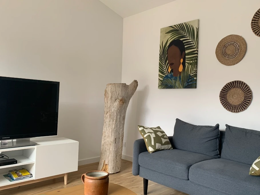 salon lumineux et cosy