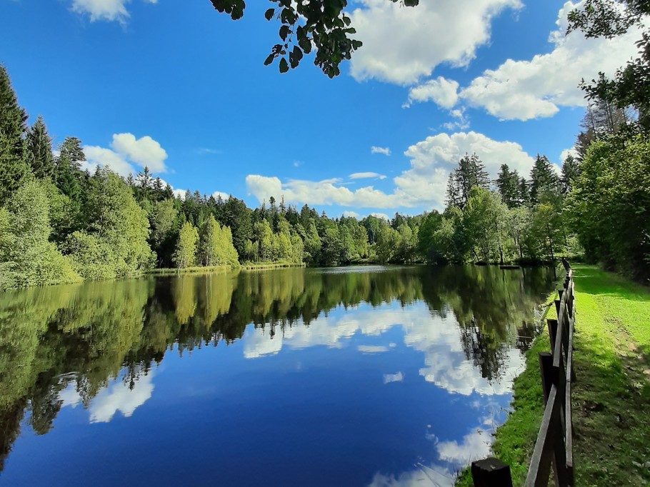 A proximité... Chambre d’hôtes La Pimprenelle : repos et nature – Vosges