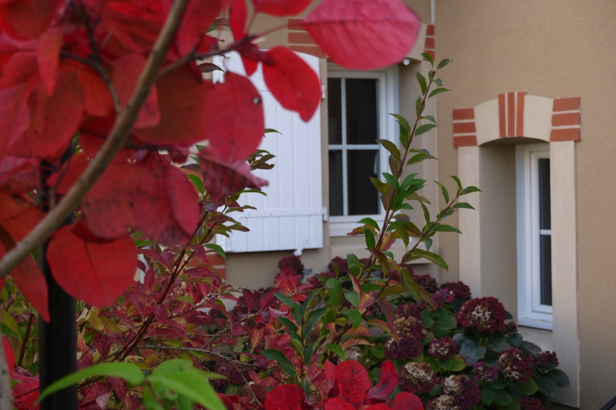 Photo n° 20 de la location