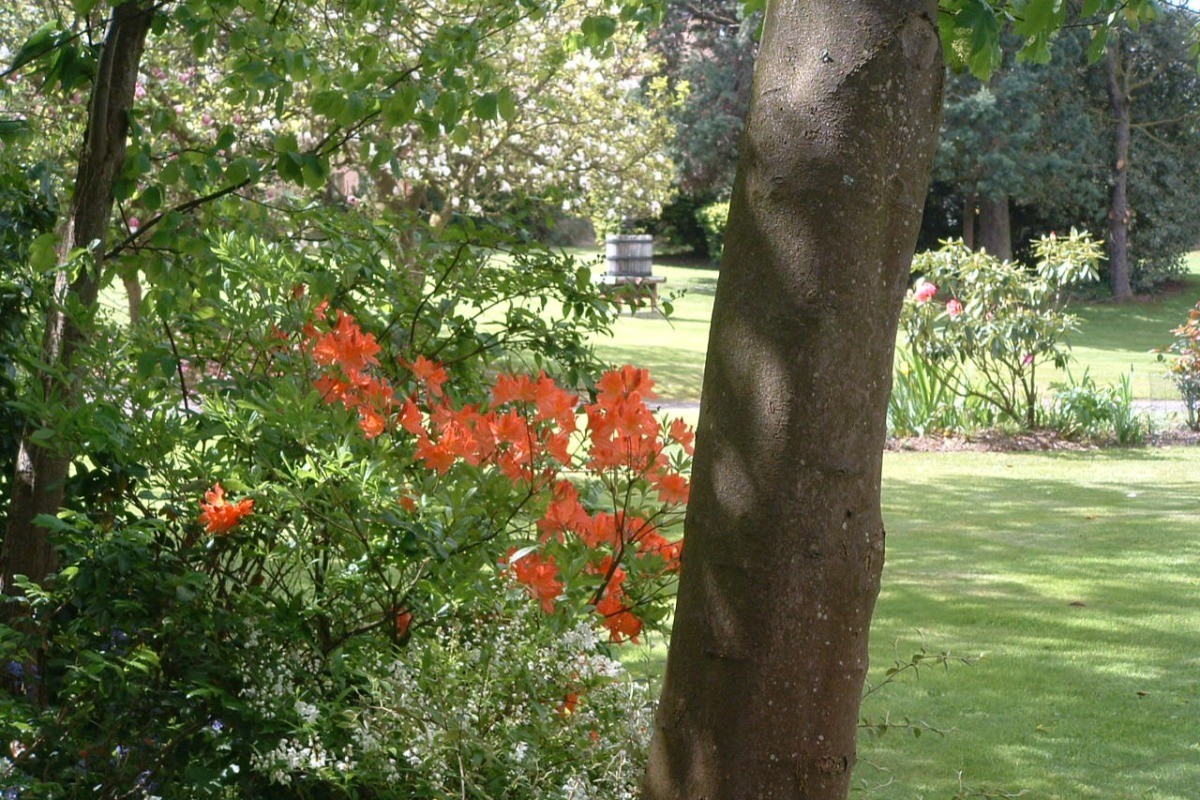 vue du parc