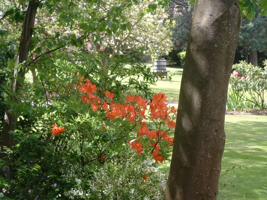 vue du parc