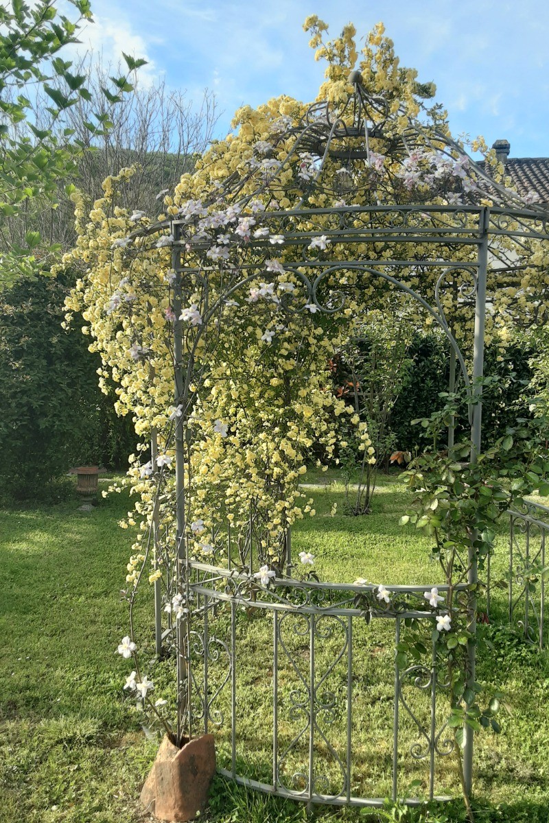Photo n° 6 de la location