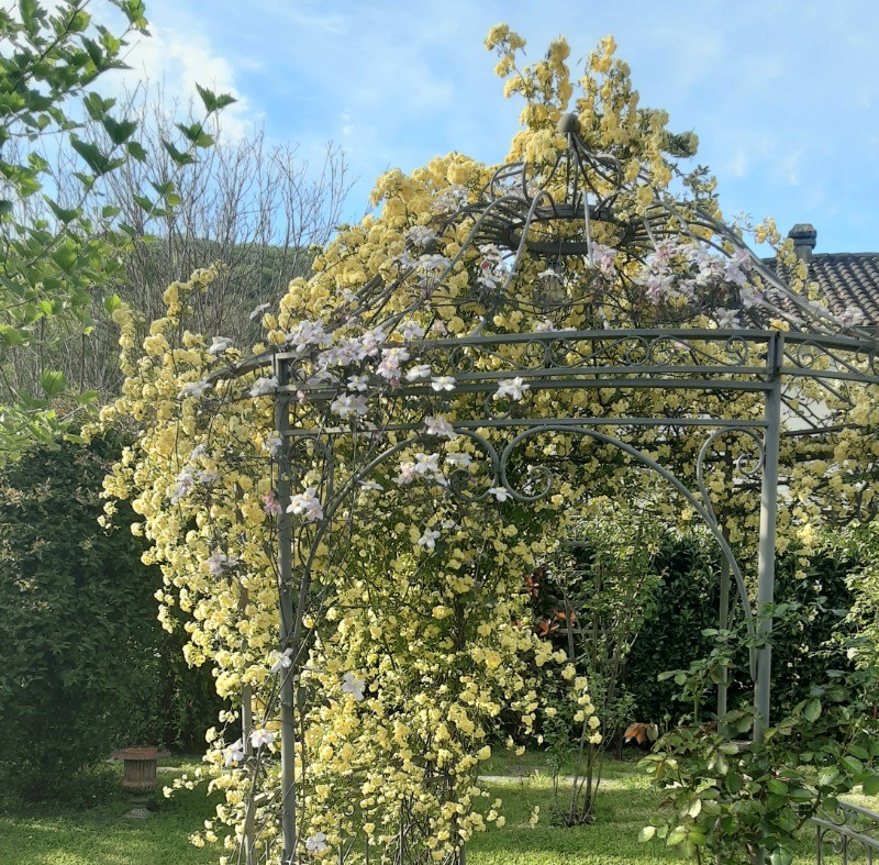 Photo n° 6 de la location