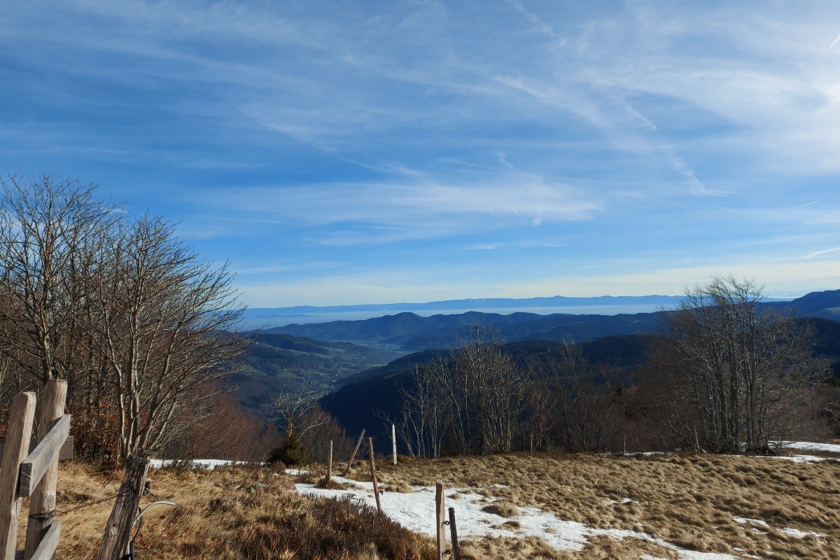 Environnement- Chalet Salamandre