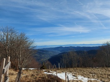 Environnement- Chalet Salamandre