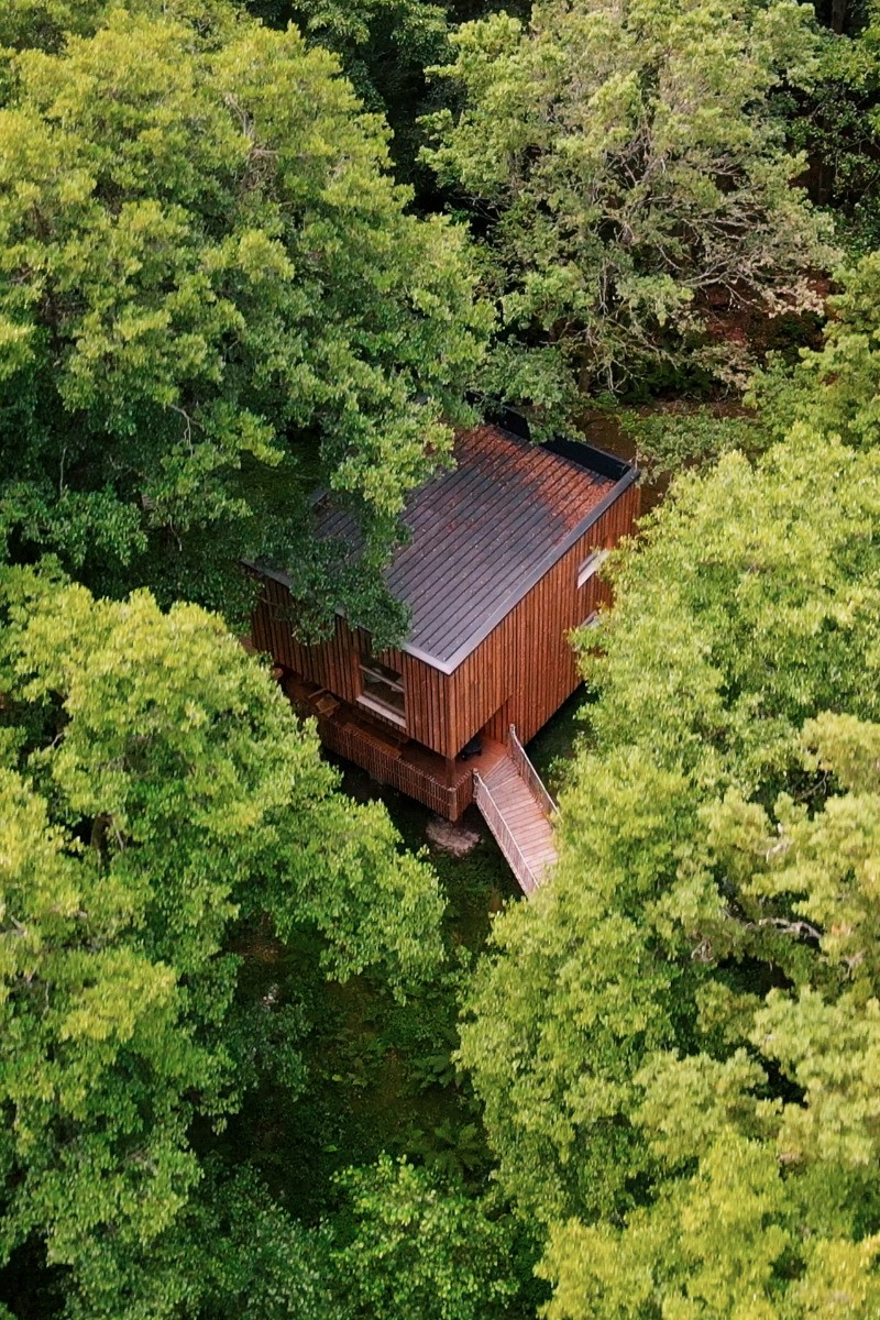 Extérieur - Cabane Céleste