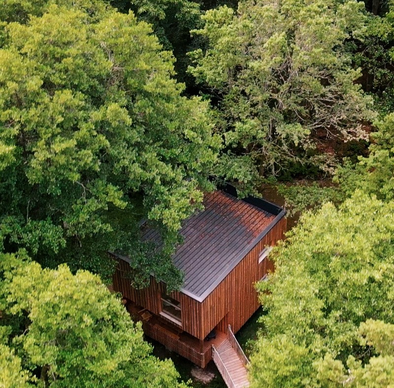 Extérieur - Cabane Céleste