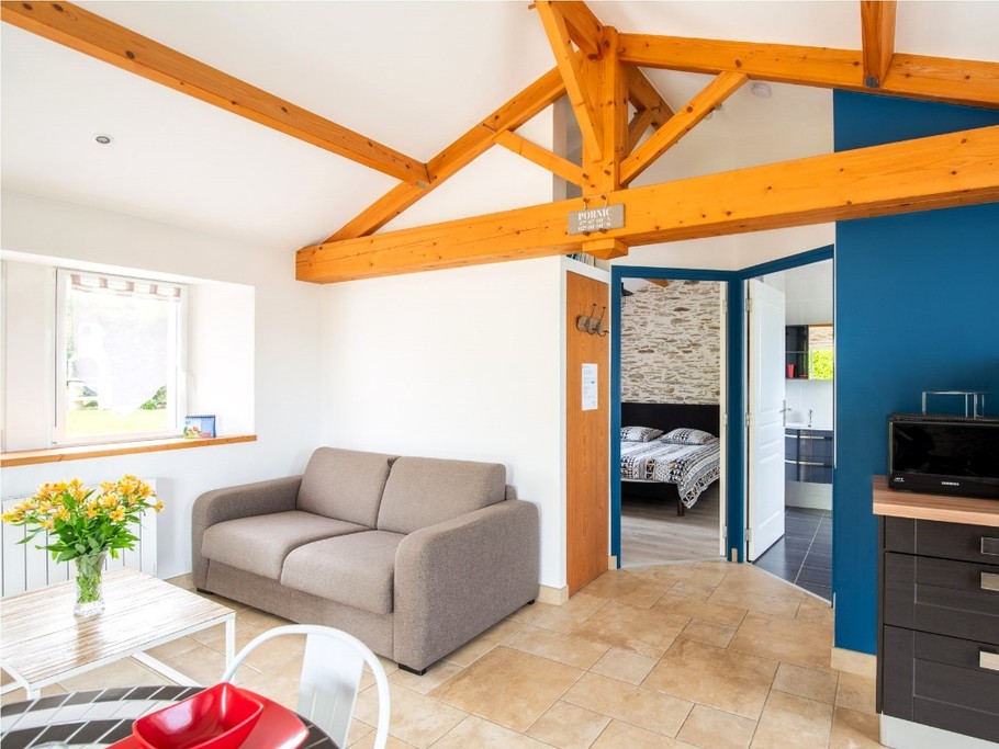 Living room with sofa bed.