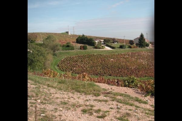 Photo n° 15 of the location